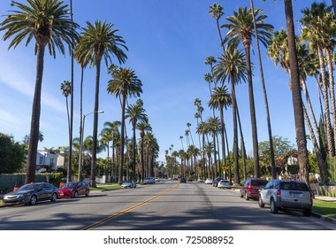 7,830 Palm Tree Avenue Images, Stock Photos & Vectors 