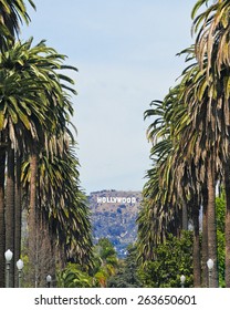 Los Angeles, USA - March 24, 2015: Beautiful Palm Tree Lined Street With The Famous Tourist Landmark Hollywood Sign Framed In Between.