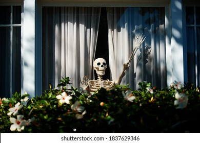 spooky dolls house