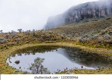 Los Nevados National Natural Park, Colombia