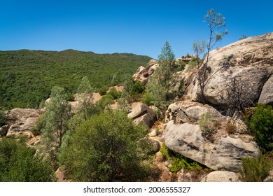 Los Padres National Forest, California