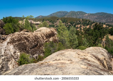 Los Padres National Forest, California