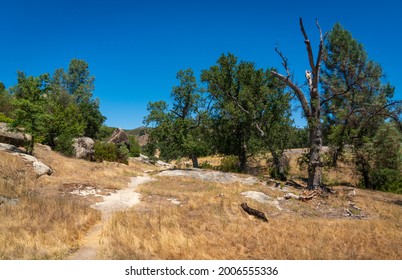 Los Padres National Forest, California