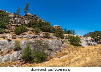 Los Padres National Forest, California