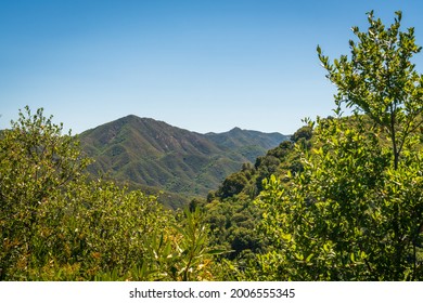 Los Padres National Forest, California