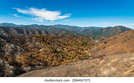 Los Padres National Forest, Forest Fire