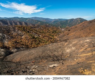 Los Padres National Forest, Forest Fire