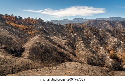 Los Padres National Forest, Forest Fire