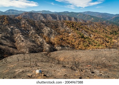 Los Padres National Forest, Forest Fire