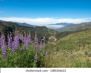 Los Padres National Forest, Highway 33, Ventura County, Ojai, California, USA