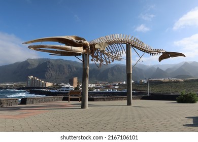 Los Silos, Santa cruz de Tenerife, Spain, February 18, 2022: Whale skeleton on the cliffs of Los Silos, north of Tenerife, Spain