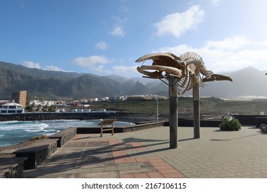 Los Silos, Santa cruz de Tenerife, Spain, February 18, 2022: Whale skeleton with mountains in the background on the cliffs of Los Silos, north Tenerife, Spain