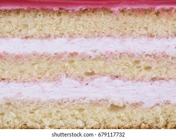 Lose-up Cake Texture