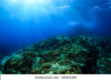 Losin Island , Underwater Volcano