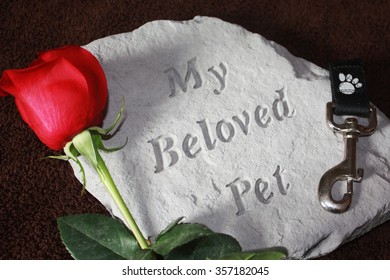 Loss Of A Pet