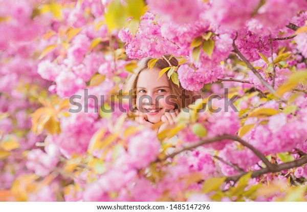 Lost Blossom Tender Bloom Girl Tourist Stock Photo Edit Now