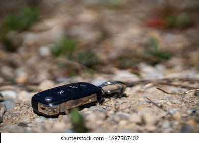 Lost Car Key In Forest