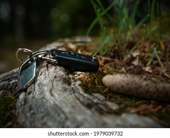 Lost Car Key Forest Floor