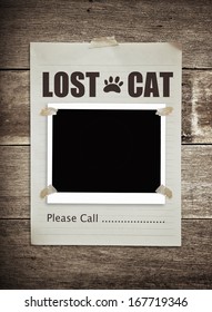 Lost Cat Paper On Wooden Background