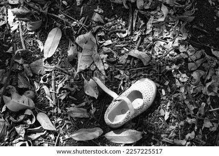 Lost child's single shoe on the forest's ground. Lost, missing  child