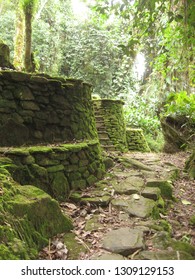 The Lost City In Colombia