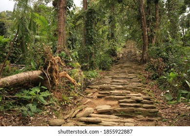 The Lost City In Colombia, Santa Marta