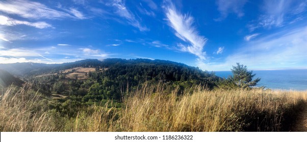 Lost Coast Headlands, Humboldt County, CA.