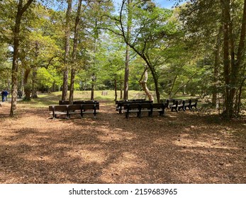 The Lost Colony At Roanoke Island 