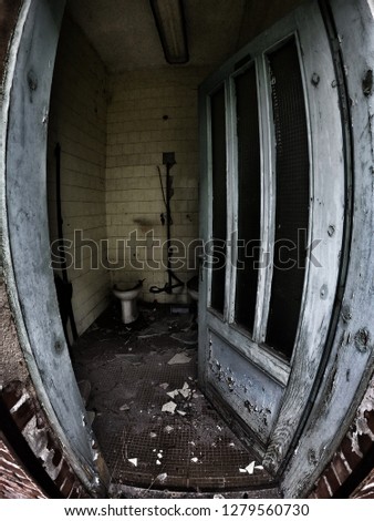 Similar – Morbid mood. A toilet bowl stands in a dilapidated house. Wallpaper and paint come off the wall and through an open window you can see a shrub