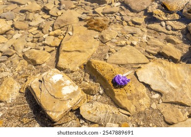 A lost doll with purple hair rests on large rocks by a riverbank under bright sunlight during a warm summer day. Dangerous children's game on the beach - Powered by Shutterstock