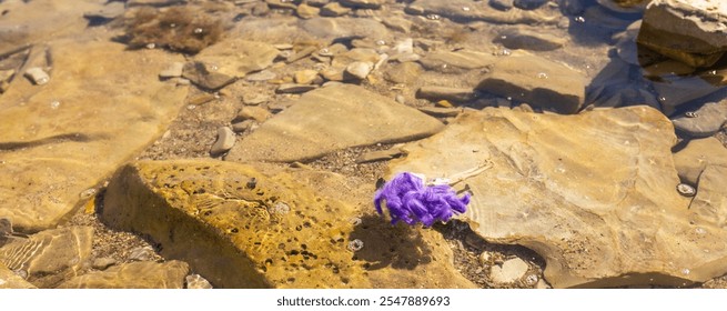 A lost doll with purple hair rests on large rocks by a riverbank under bright sunlight during a warm summer day. Dangerous children's game on the beach - Powered by Shutterstock