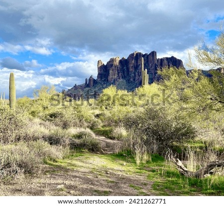 The Lost Dutchman State Park in Apache Junction Arizona.