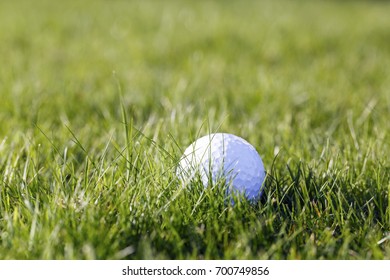 Lost Golf Ball