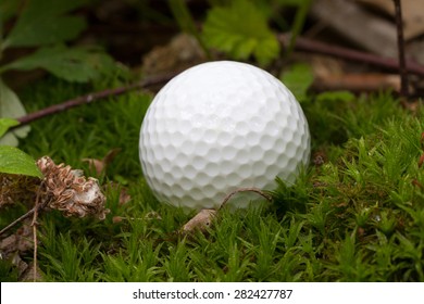 Lost Golf Ball Is Lying In Moss.