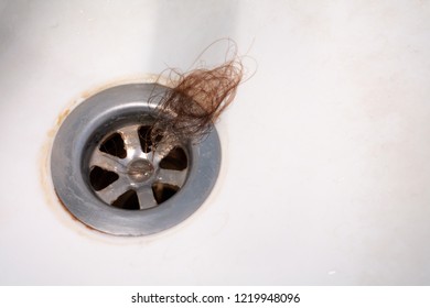 Lost hair in the drain hole of the sink