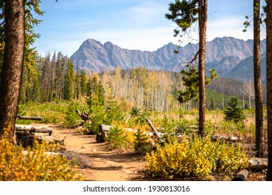 Stock Photo And Image Portfolio By Dimara Shutterstock<script async src=