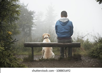 Lost Man With His Dog In Mountain.