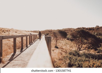 Lost In Nature