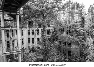 Lost Places
Overgrown Building In Beautiful Nature