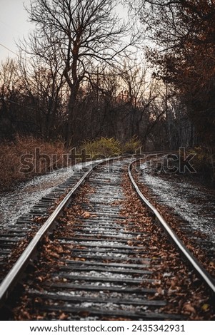 A lost railroad track covered by autumn leaves.