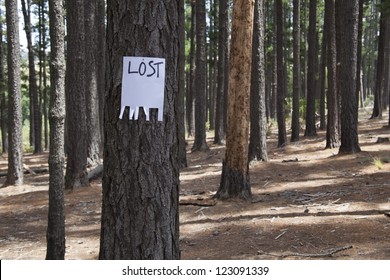 missing tree