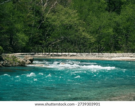 Lost in Spring of Kamikochi