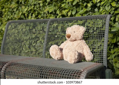 Lost Teddy Bear Seated On A Iron Bench