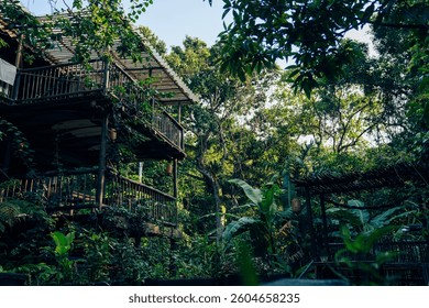 Lost Tiny House in the Jungle