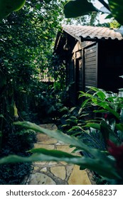 Lost Tiny House in the Jungle