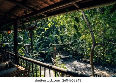 Lost Tiny House in the Jungle