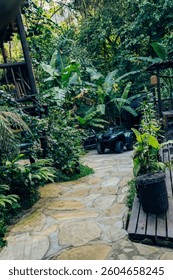 Lost Tiny House in the Jungle