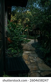 Lost Tiny House in the Jungle