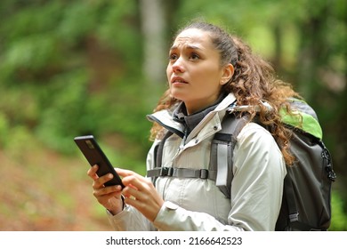 Lost trekker searching location with smart phone alone in a forest - Powered by Shutterstock