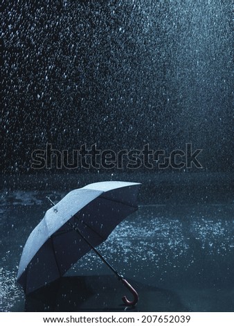 lost umbrella lost umbrella
